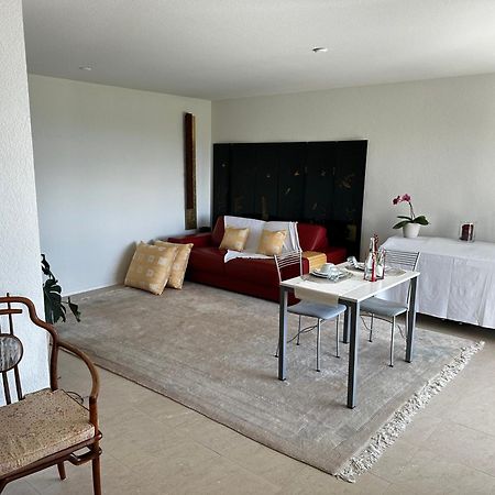 Lakeview Apartment-Lavaux Grandvaux Dış mekan fotoğraf