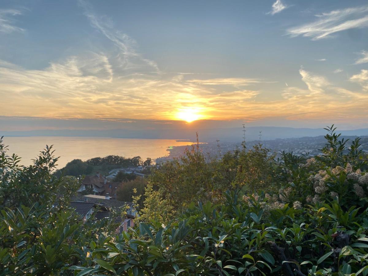 Lakeview Apartment-Lavaux Grandvaux Dış mekan fotoğraf